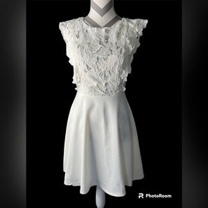 Blush White Lace Dress